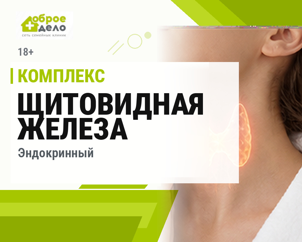 Щитовидная железа (Эндокринный) 18+